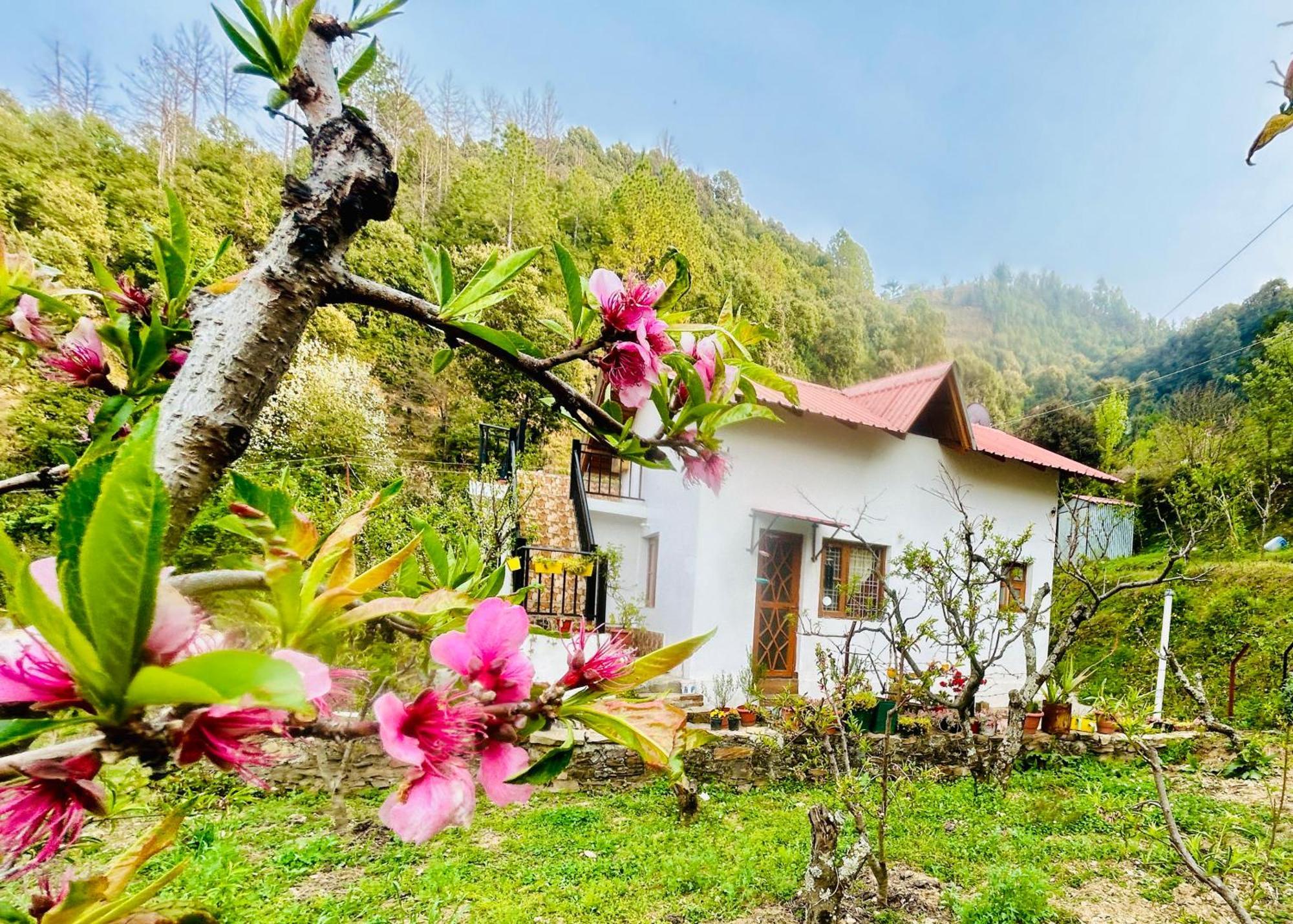 Love'S Farm, Cottage In Ramgarh מראה חיצוני תמונה